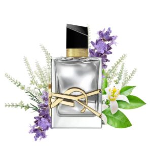 YSL Absolute Platine (90ml)
